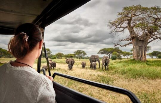 how to sell tours on expedia local expert feat. safari with elephants