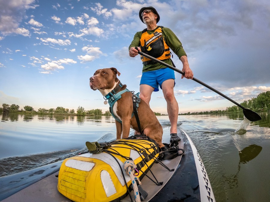 man paddling with dog travel newsletter inspiration