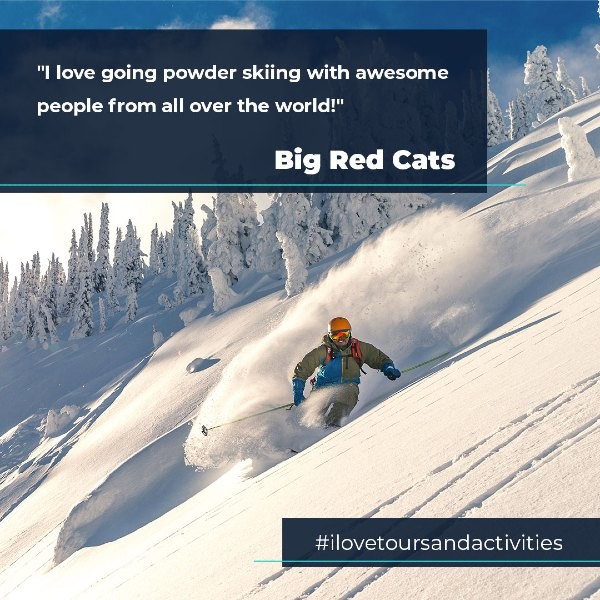Skier skiing downhill with quote