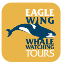 eagle wing logo