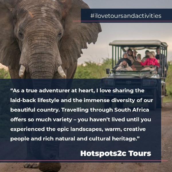 Elephant in front of a tour jeep with quote