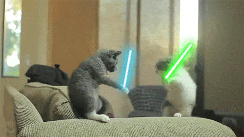 Two cats fighting with light sabers