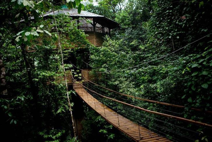 Bungalow in the middle of tropical forest