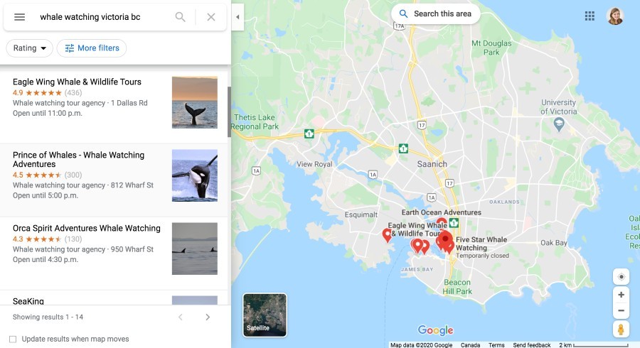 Google Maps local listings of whale watching tours in Victoria, BC.