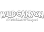 wild canyon logo