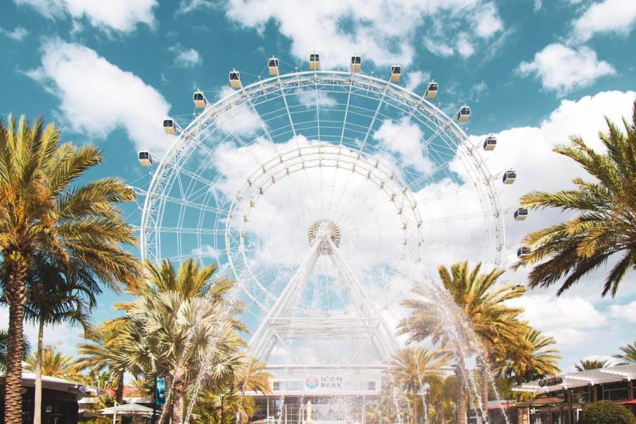 Ferris wheel in tropic setting
