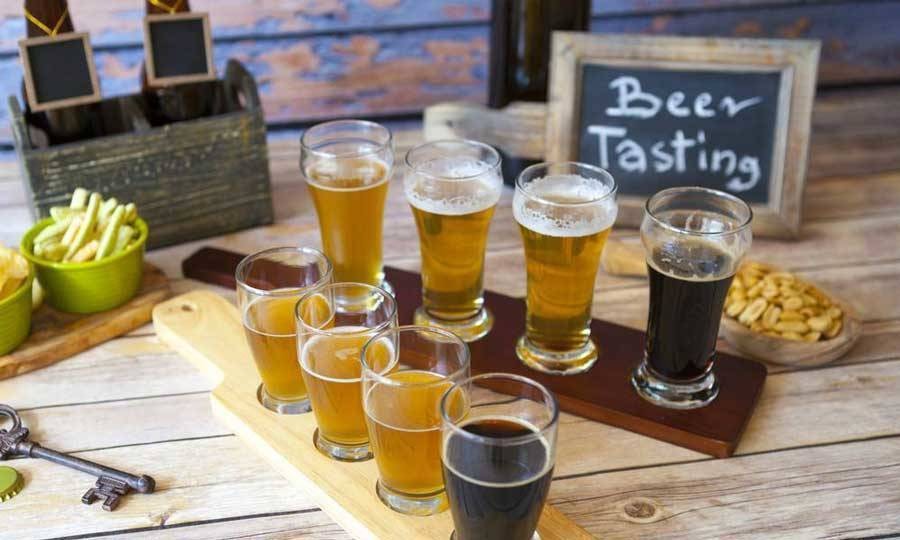 A flight of beers for tasting at a brewery