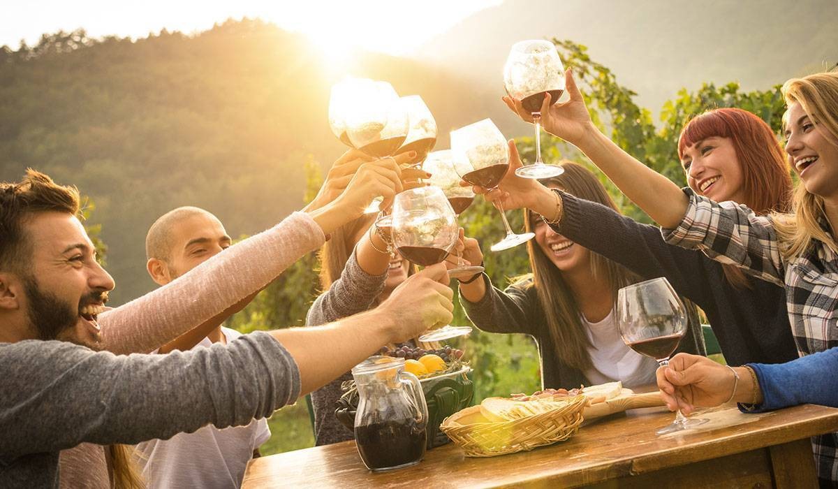 A group of friends toasting wine glasses at a table outdoors