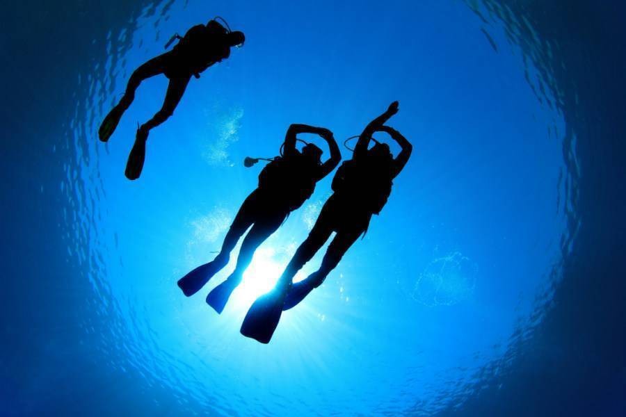 scuba divers swimming in blue sea