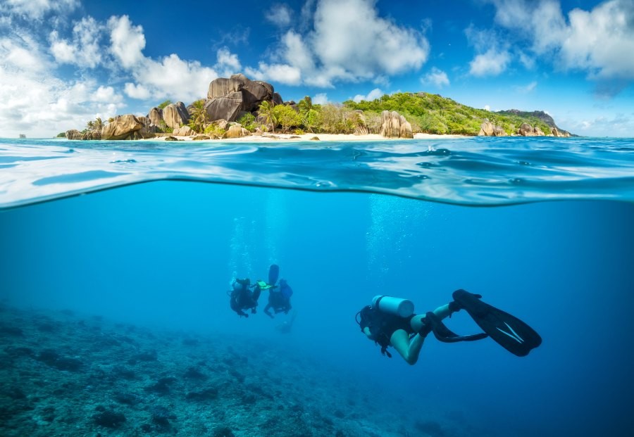 create an ecotourism scuba diving business