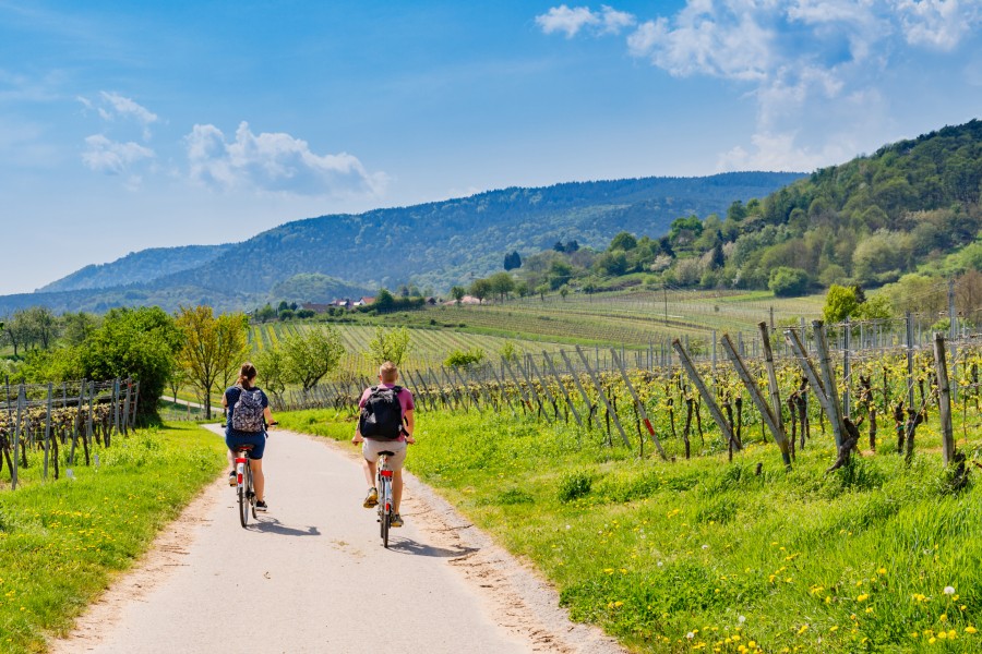 Couple on scenic bike tour of winery