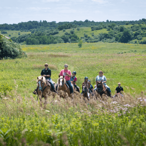 Image of a group of people on horseback trail tour with The Wilds, riding through a green rolling fields of wheat, grass