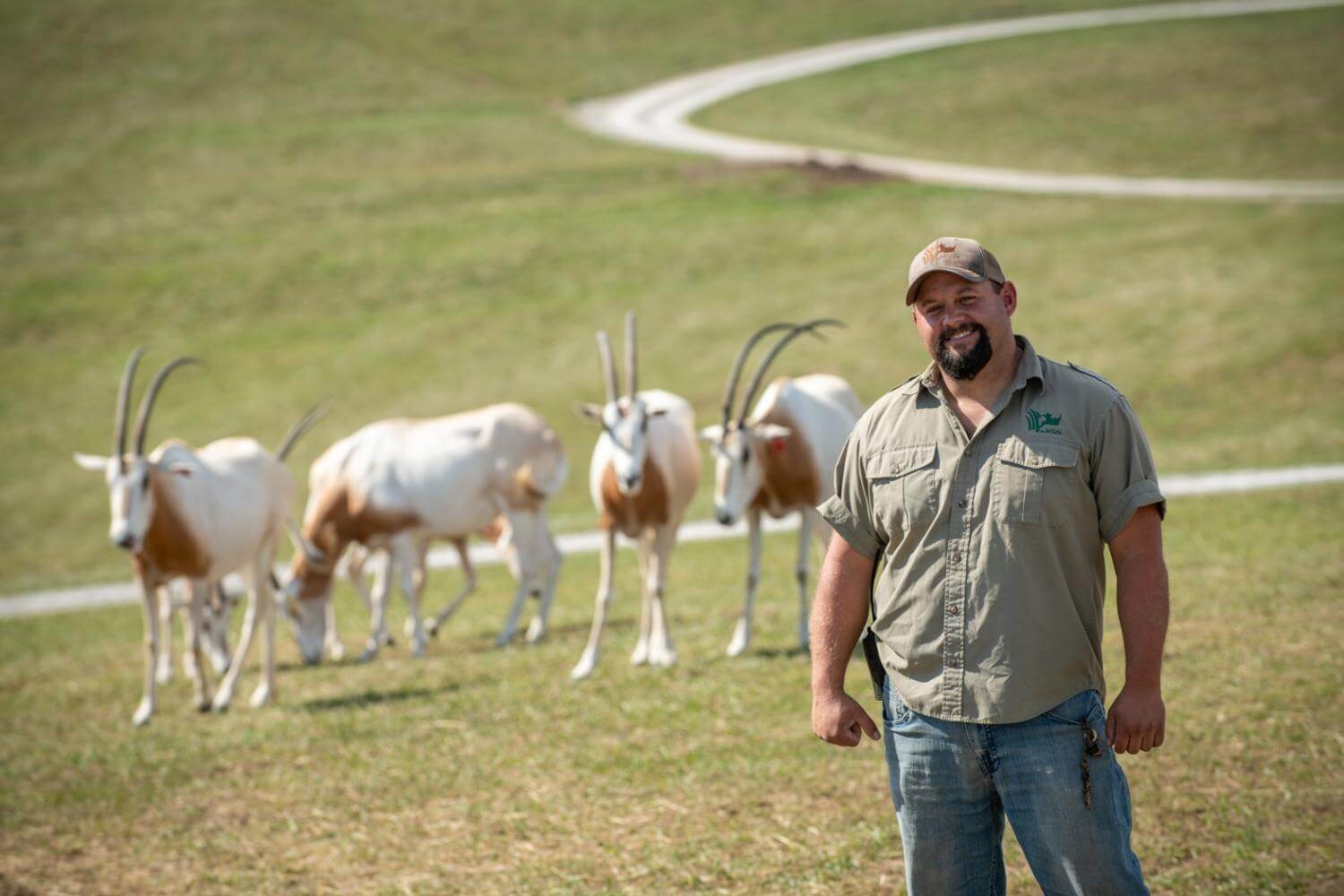 Image of a wildlife conservation staff member from The Wilds in a camo shirt and blue jeans. He's standing in front of a group of white and caramel coloured antelope. 